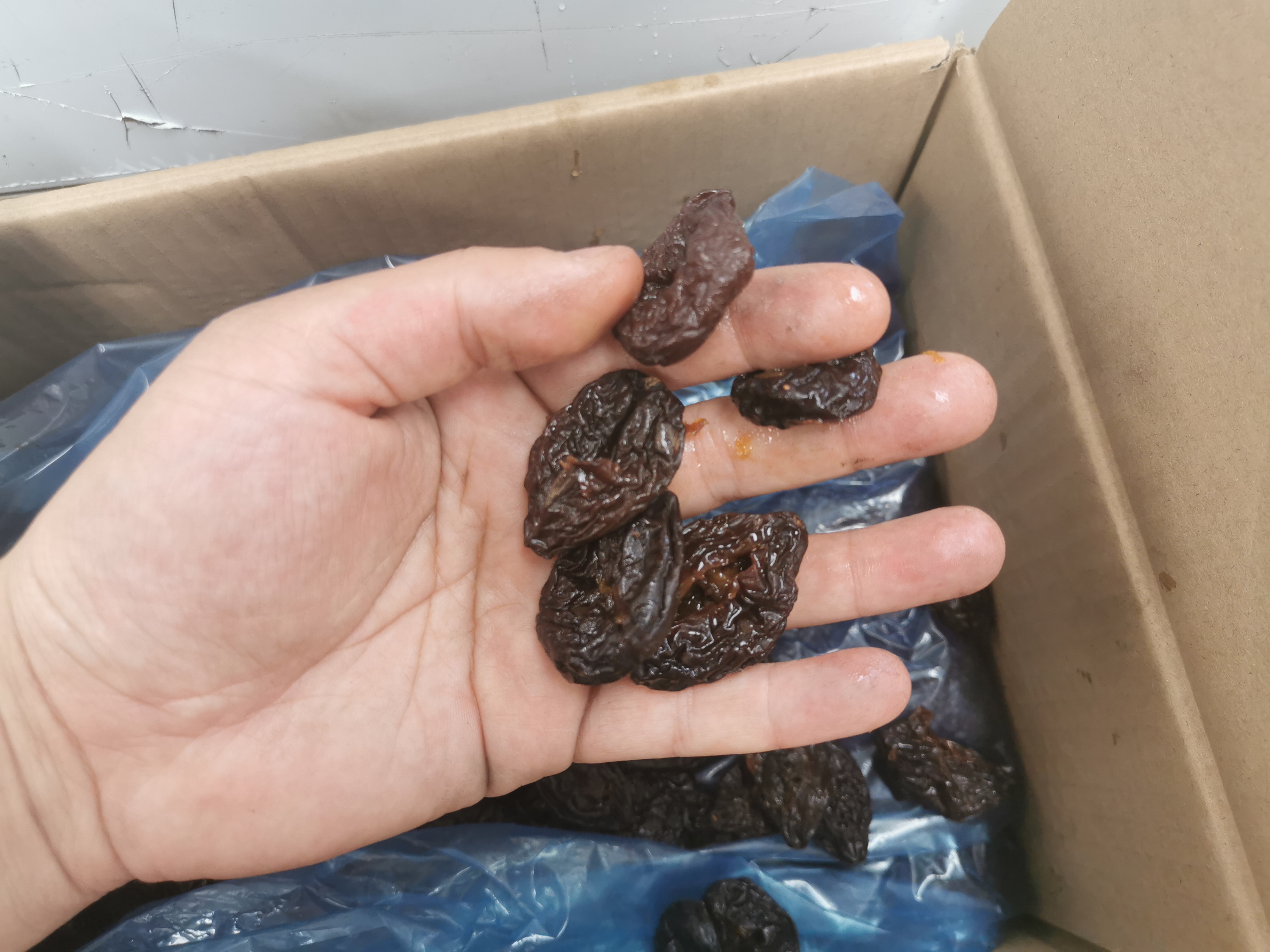 乌梅干去核机设备实拍